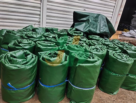 麻豆AV视频网站